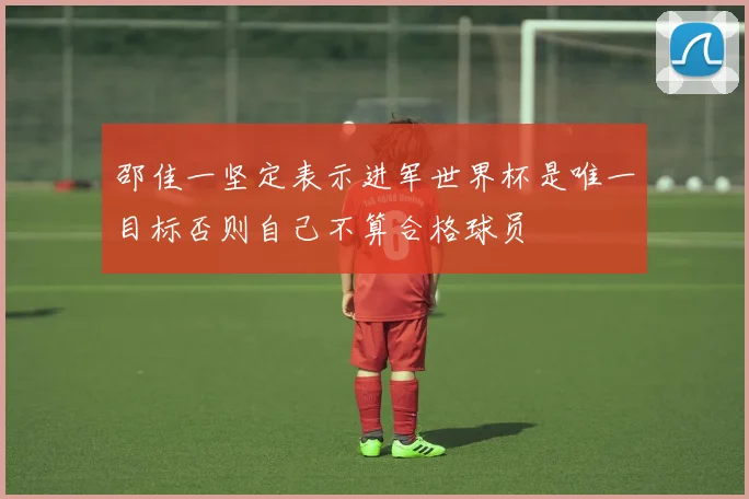 邵佳一坚定表示进军世界杯是唯一目标否则自己不算合格球员