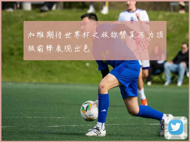 加维期待世界杯之旅称赞莱万为顶级前锋表现出色