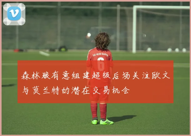 森林狼有意组建超级后场关注欧文与莫兰特的潜在交易机会