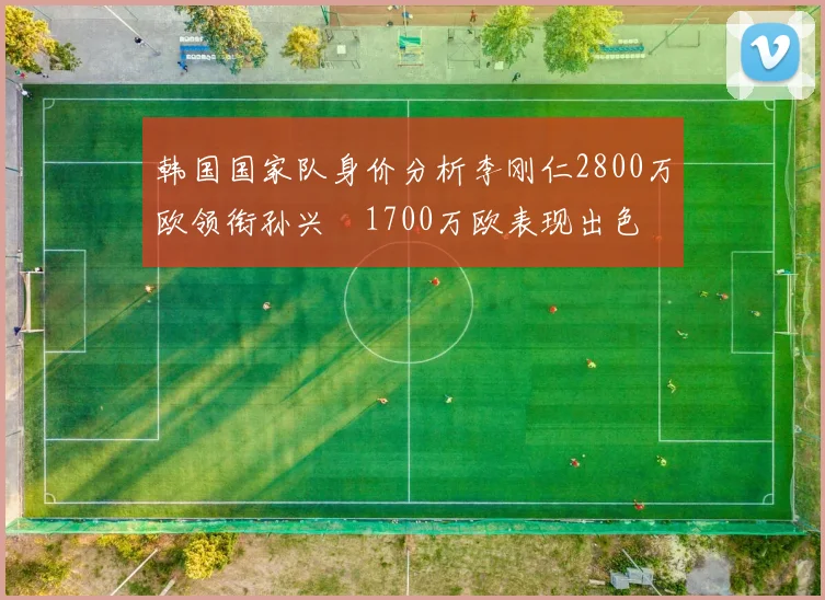 韩国国家队身价分析李刚仁2800万欧领衔孙兴慜1700万欧表现出色