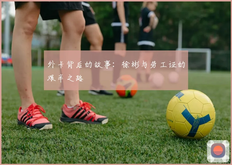 外卡背后的故事：徐彬与劳工证的艰辛之路